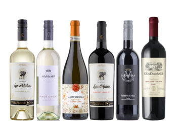 Veinikast “Peoveinid”